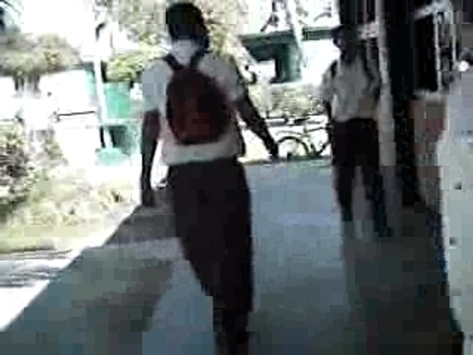 amigos