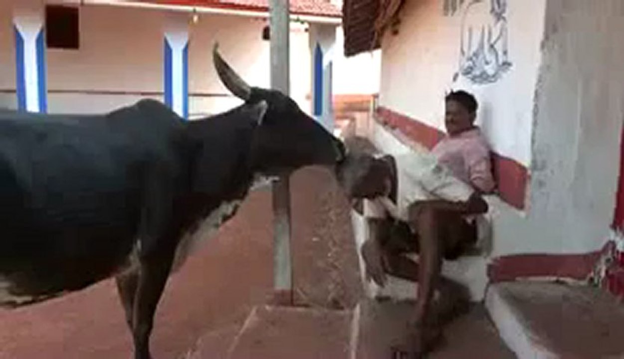 مه‌ساج کردنی سه‌ر به زمانی مانگا