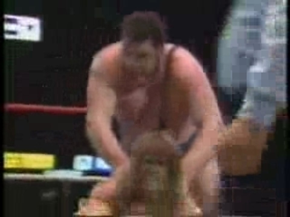 Ultimate Warrior vs Andre The Giant