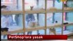 04.12-NTV,Kadıköy Pet Shoplarda hayvan satışı yasaklandı.