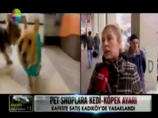 6.12-showtv-petshoplarda hayvan satışı yasak