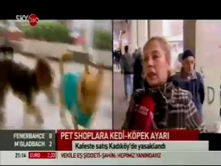 6.12-skytürk-petshoplardahayvan satışına yasak