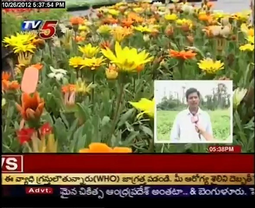 Snehanursery Seedlings