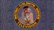 Cat in the Hat Productions / MGM Television