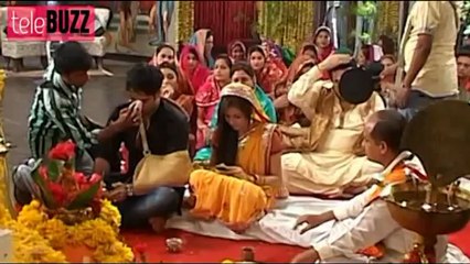 Madhubala TO GET Malik & Padmini MARRIED in Madhubala Ek Ishq Ek Junoon 18th December 2012