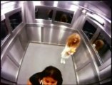 en caméra cachée    Fille qui fait peur dans un ascenseur