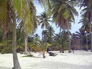 SUBLIME PLAGE DE SAONA 1