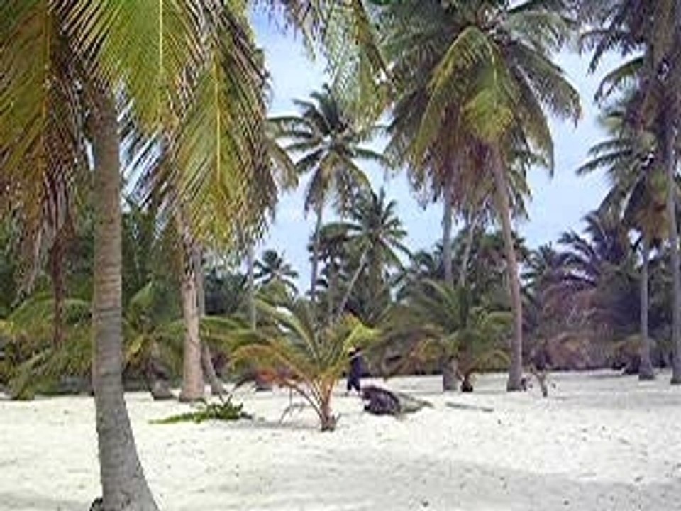 SUBLIME PLAGE DE SAONA 1
