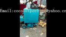The best full automatic coconut peeling machine/Coconut Dehusking Machine/Coconut dehusker