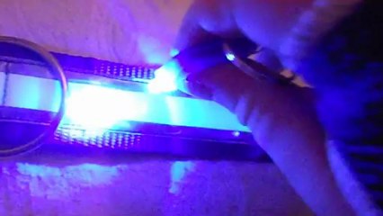 Darkdog Outfitters collar