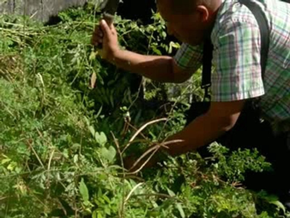 Collectif du patrimoine des Comores