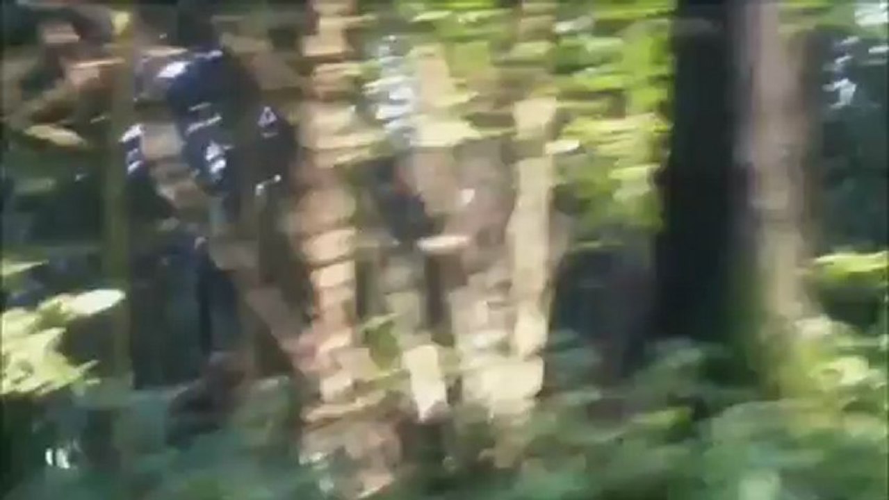 The Dead Game Trailer 2.0