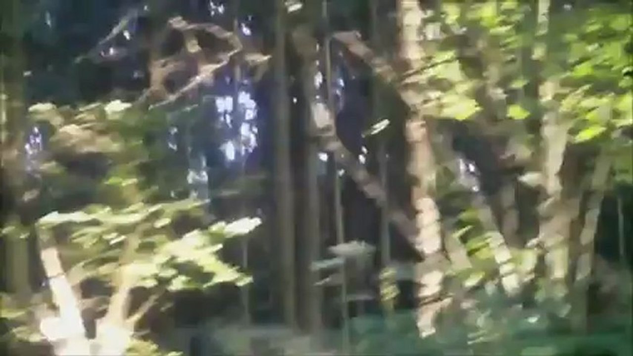 THE DEAD GAME TRAILER