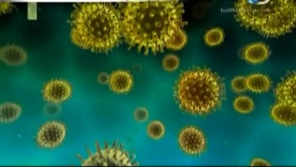 [Discovery Channel] Amenaza Extraterrestre 2