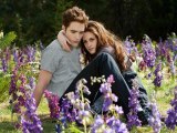 Twilight Breaking Dawn Part 2 full movie part 1 2012 - Watch Twilight Breaking Dawn Part 2 online