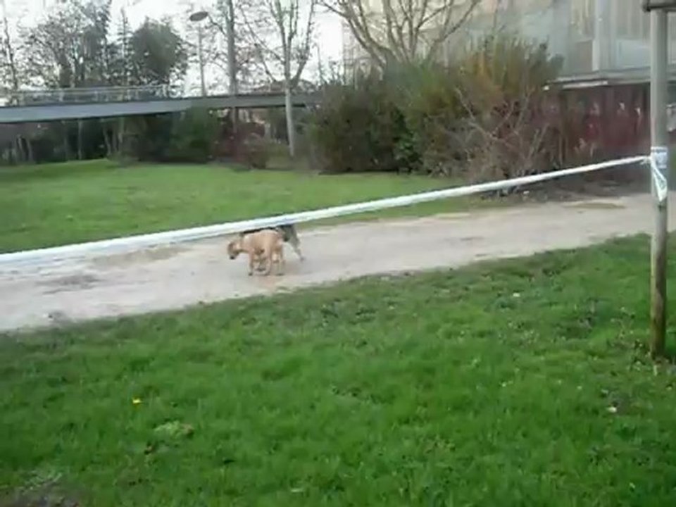 SAM_0080