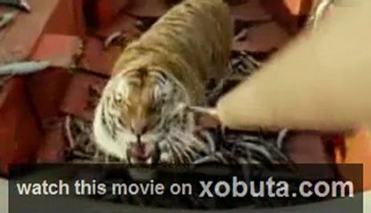 watch life of pi hindi movie online free