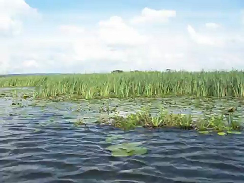 Dróżno3