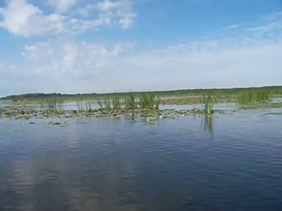 Dróżno1