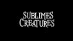 Sublimes Créatures - Featurettes "Les enchanteurs" [VOST|HD] [NoPopCorn]
