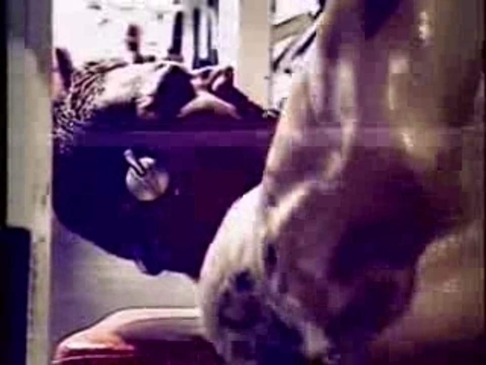 Batista titantron wwe