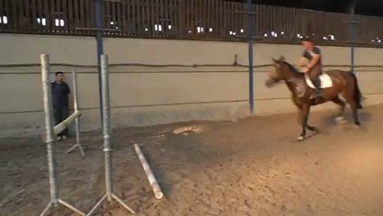 jument de loisir à vendre