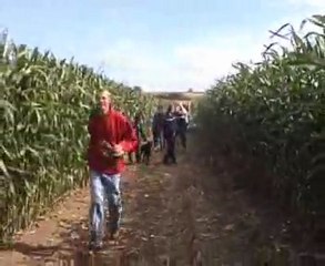 OGM Fauchage Nonette 63 Un Massacre le 27 Août 2005