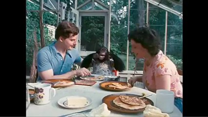 'Proyecto Nim' - Tráiler español