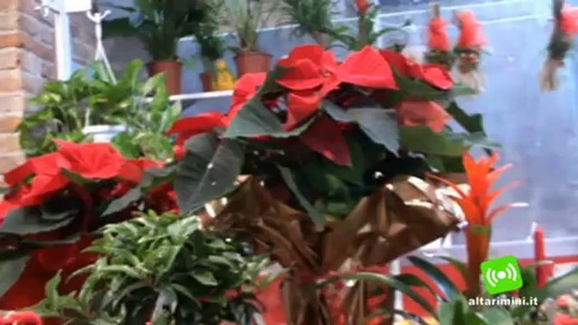 Rimini, tra risparmio e tradizioni arriva il Natale 2012