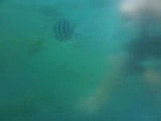 CoronTrip-Day3-SietePecado 6