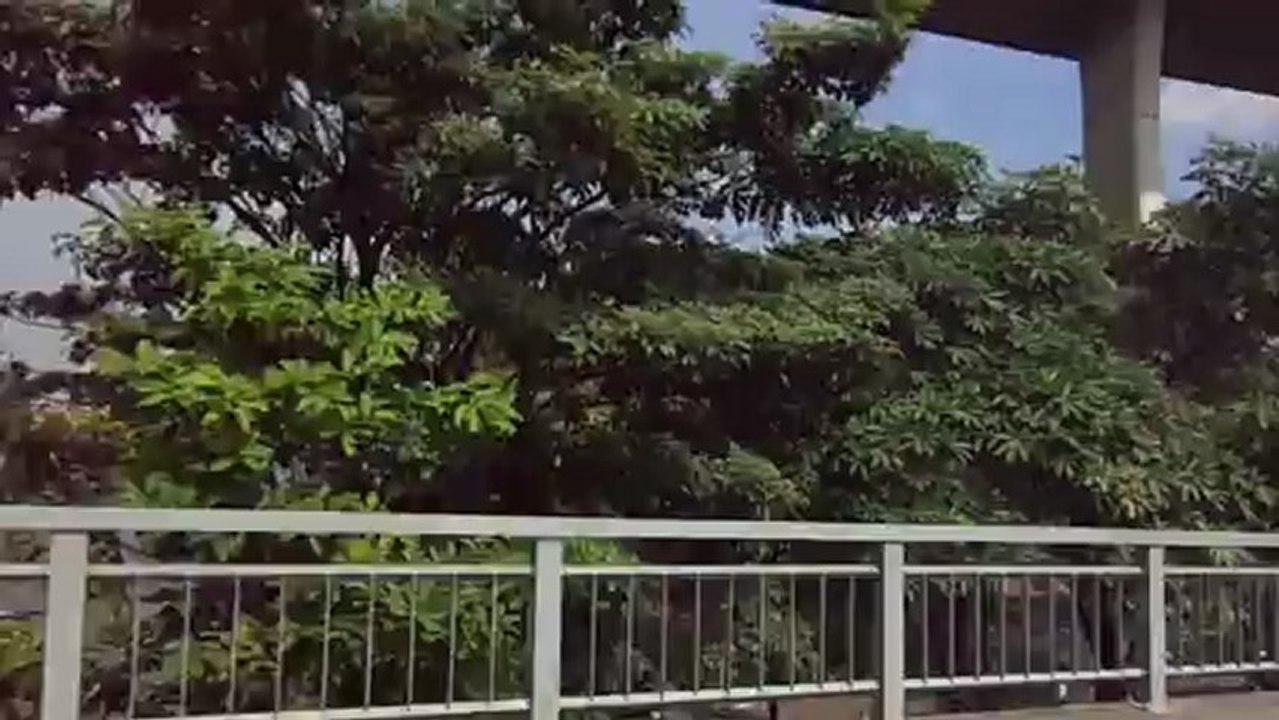 The Bridge in Bangkok