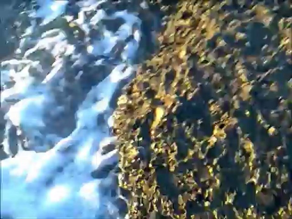 melanur ve su üstü sahte