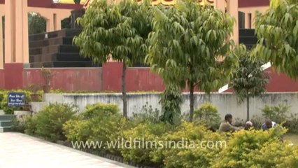 Bihar_6.mov