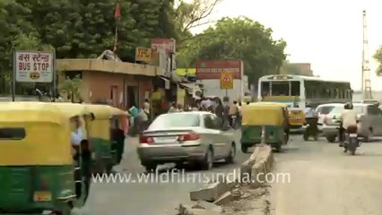 Delhi time lapse-6.mov