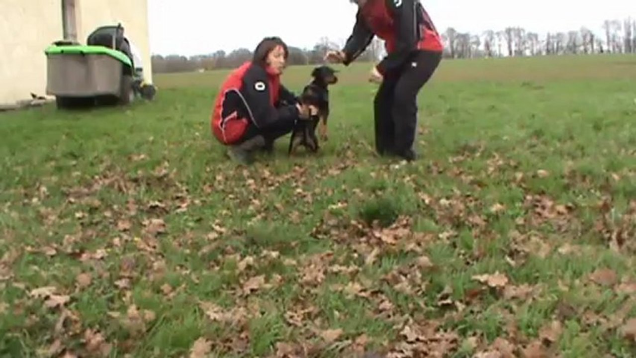 H'INSTINCT DU BRAS DU CHAPITRE