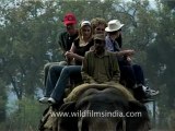 Elephants riding_3.mov