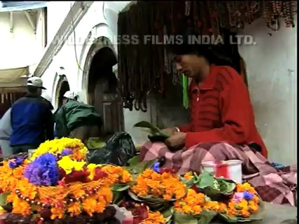 Everest expedition-3.mov