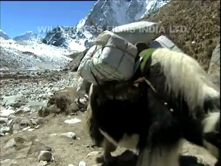 Everest expedition-5.mov