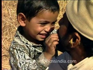 Gujarat-Gir-DVC-5-5.mov