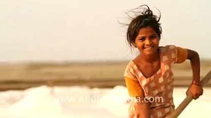 Gujarat-Salt making-3.mov