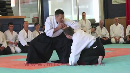 Best of 2012 Michel Erb Sensei