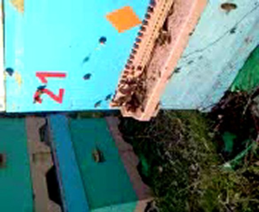 Video0040