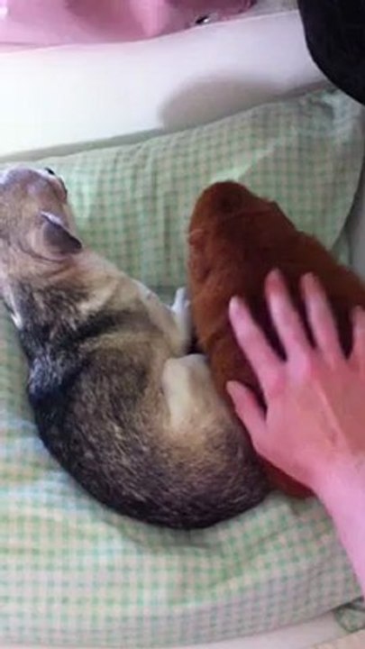 Kylie et Praline, retrouvailles