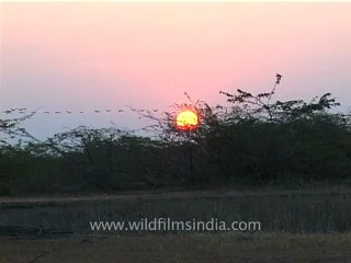 Gujarat_46.mov