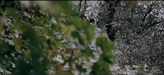 NEVERNE BEBE - SUDNJI DAN (official HD) - MTV PREMIJERA