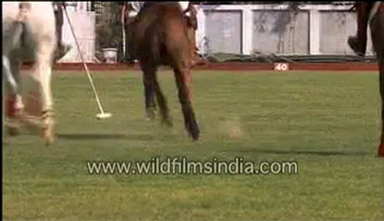 Horse Polo-MPEG-4 800Kbps.mp4