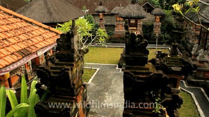 Indonesia-Bali-Doc Surf-2.mov