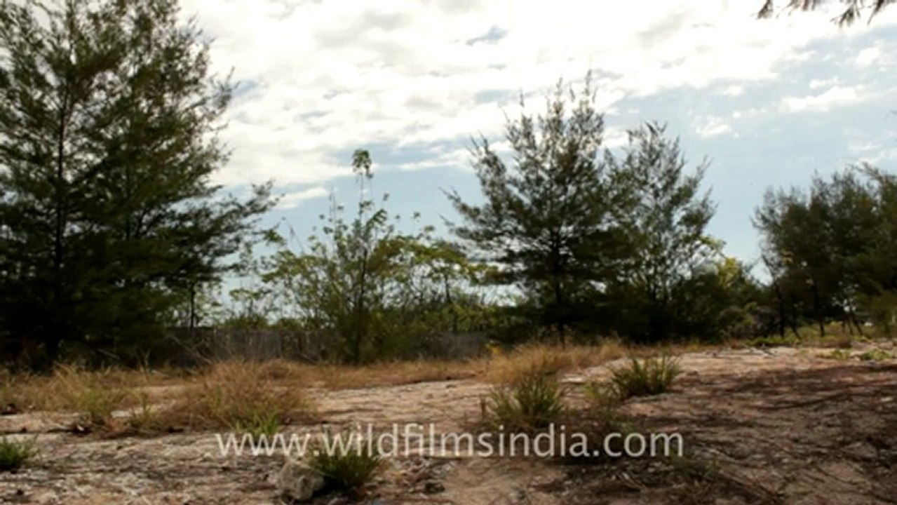 Indonesia-Lombok-Gilli-5.mov