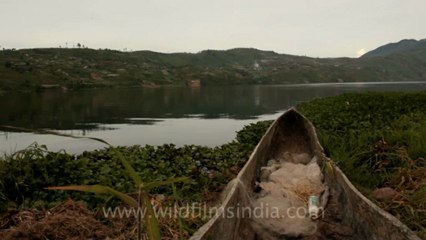 Indonesia-Sumatra-Landscapes-1.mov