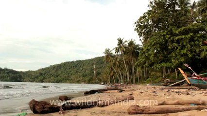 Indonesia-Sumatra-Landscapes-6.mov